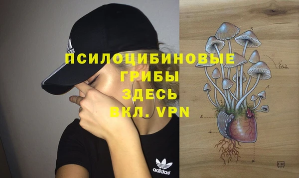 дживик Балабаново