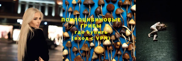 МДПВ Россошь