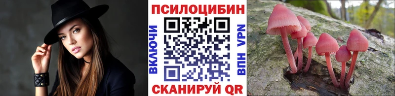 даркнет сайт  Слободской  Псилоцибиновые грибы мухоморы 