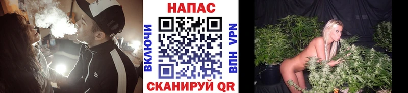 Каннабис ГИДРОПОН  Слободской 
